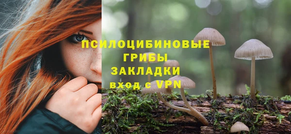 круглые Алзамай