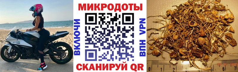 Псилоцибиновые грибы мицелий Боготол